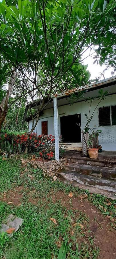 Pai Yard Guest House Εξωτερικό φωτογραφία