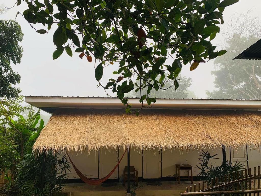 Pai Yard Guest House Εξωτερικό φωτογραφία